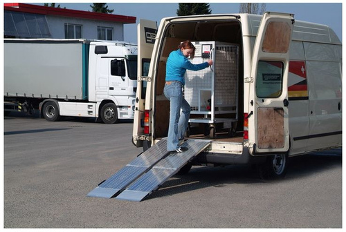 Antypoślizgowa składana aluminiowa rampa najazdowa ALTEC AOS-F 800 (081.55.024)