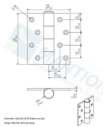 Zawias przykręcany MANTION 1516P, Ø16 mm, ocynk