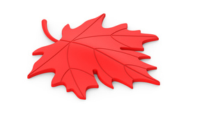 Odbojnik - stoper drzwiowy Metal-Bud Liść