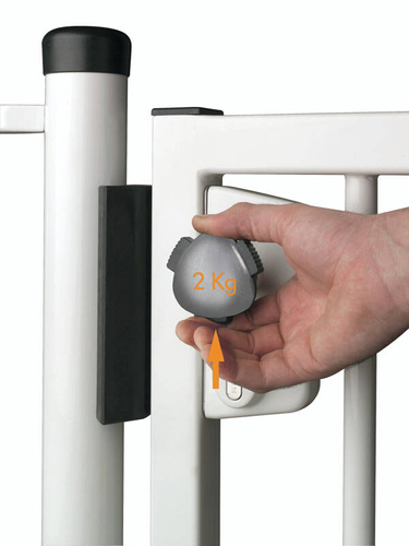 Zamek basenowy Locinox LAKZ P1 WSI na profil kwadratowy 50 mm