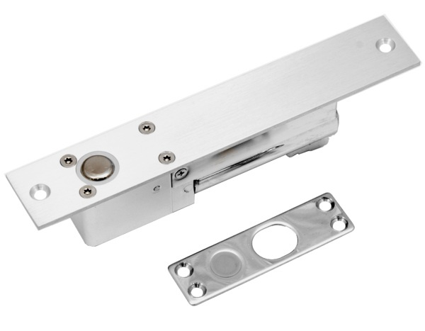 Elektrorygiel BIRA Hartte SBL – widok produktu